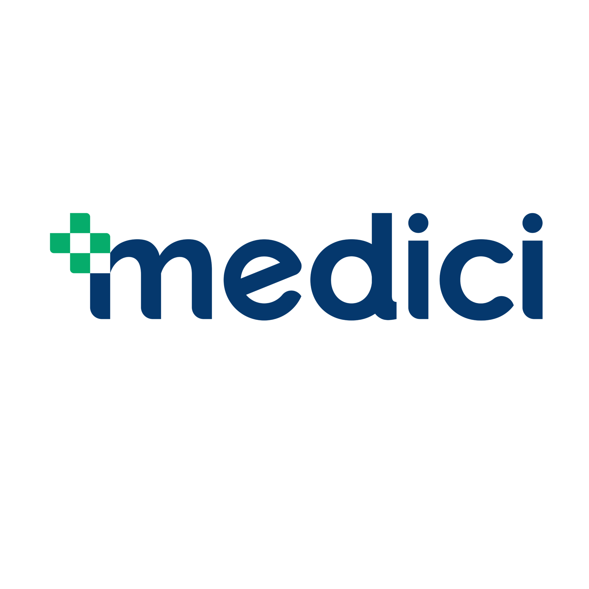 Medici logo